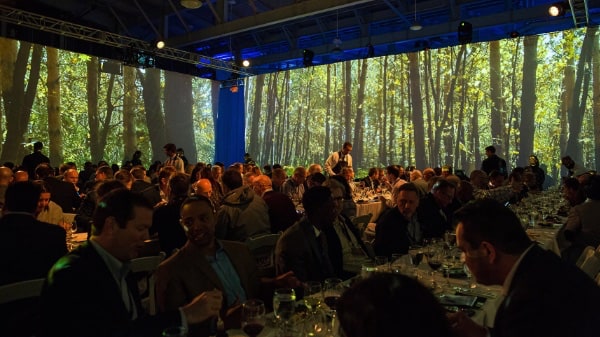 ThemeDream Immersive